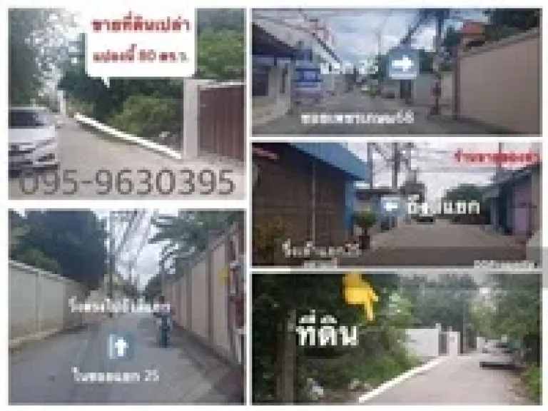 ขายที่ดินเปล่า ซอยเพชรเกษม 68 แยก 25 บางแค เขตภาษีเจริญ กทม เนื้อที่ 80 ตรว