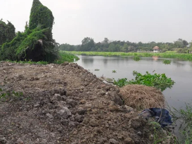 land that has been filled Next to the Tha Chin river70 meters beside the long canal3Entire along the land