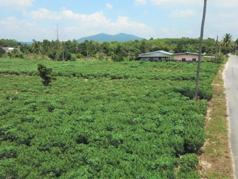 ขายที่ดินสวย บ้านฉาง ใกล้อู่ตะเภา และทะเล 4 - 8 ไร่ เหมาะสร้างหมู่บ้าน