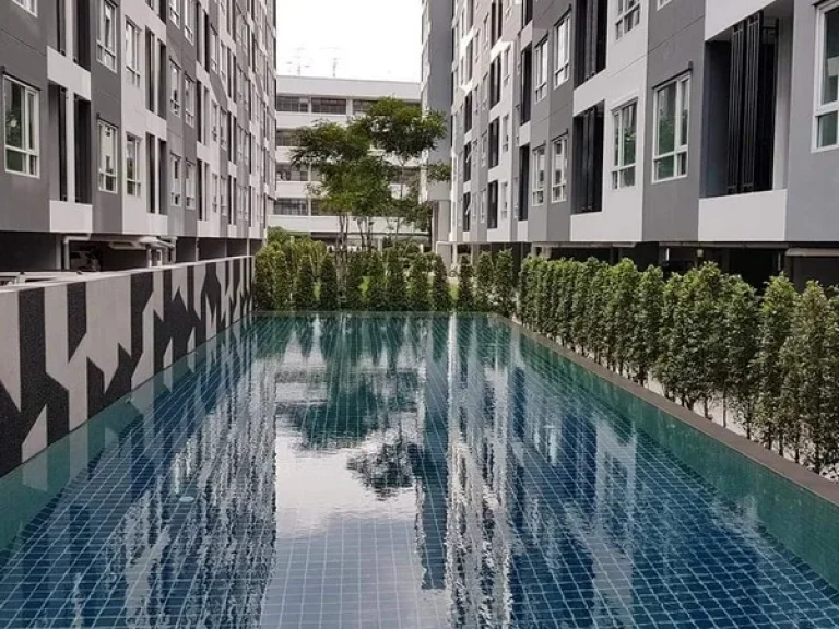 Rent Regent Home Sukhumvit 81 รีเจ้นท์ โฮม สุขุมวิท 81 1 ห้องนอน 28 Sqm ราคาเช่า 10000