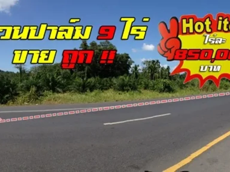 ที่ดินเปล่า 9 ไร่ 1 งาน 68 ตรว ติดถนนเซาท์เทิร์น ช้างขวา ทางหลวงหมายเลข44