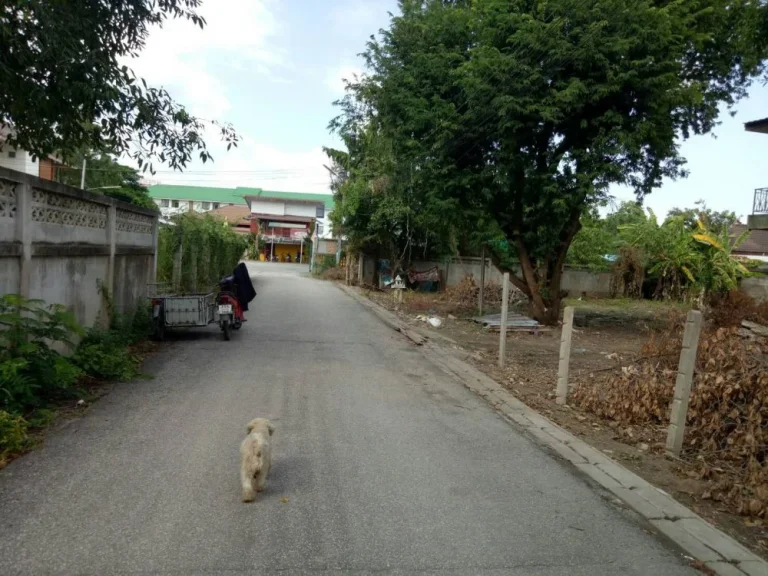 ขายที่ดินหนองป่าครั่งพร้อมสิ่งปลูกสร้าง อำเภอเมืองเชียงใหม่