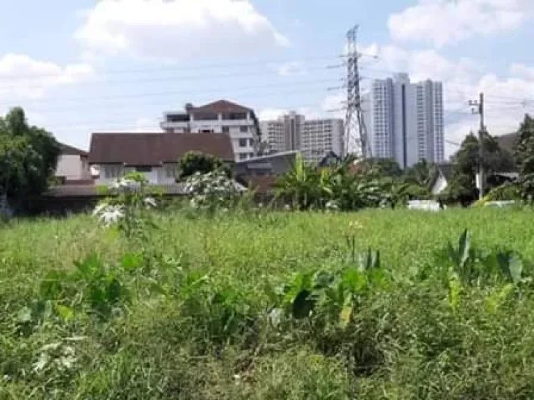 ขายที่ดินหลังขนส่งหนองหอย ติดถนนสองด้าน อำเภอเมืองเชียงใหม่