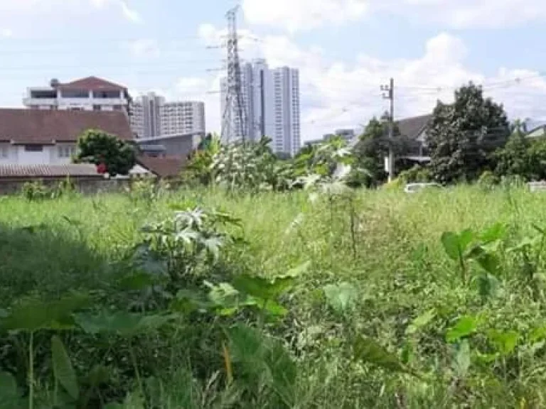 ขายที่ดินหลังขนส่งหนองหอย ติดถนนสองด้าน อำเภอเมืองเชียงใหม่