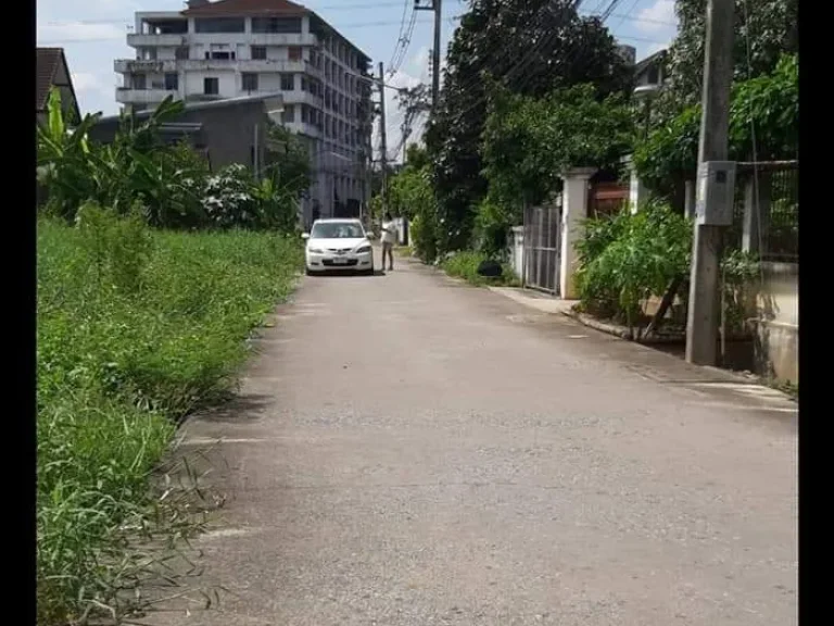 ขายที่ดินหลังขนส่งหนองหอย ติดถนนสองด้าน อำเภอเมืองเชียงใหม่