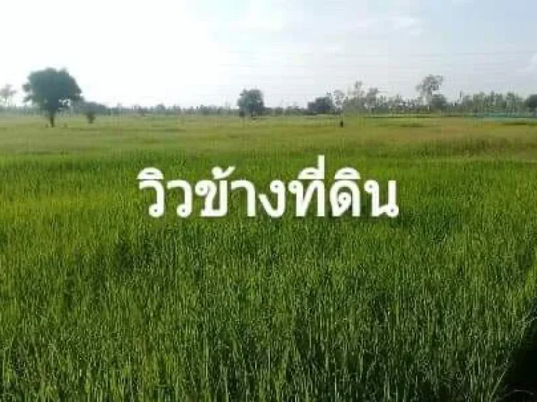 ขายที่ดินเปล่า พร้อมโอน