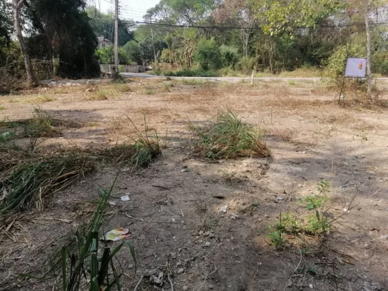 ขายที่ดินหลังเรือนแพ บ้านมอญ สันกลาง เชียงใหม่