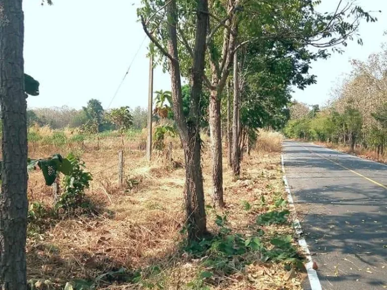 ที่ดิน พร้อมบ้านในสวน ติดถนนลาดยาง อุตรดิตถ์