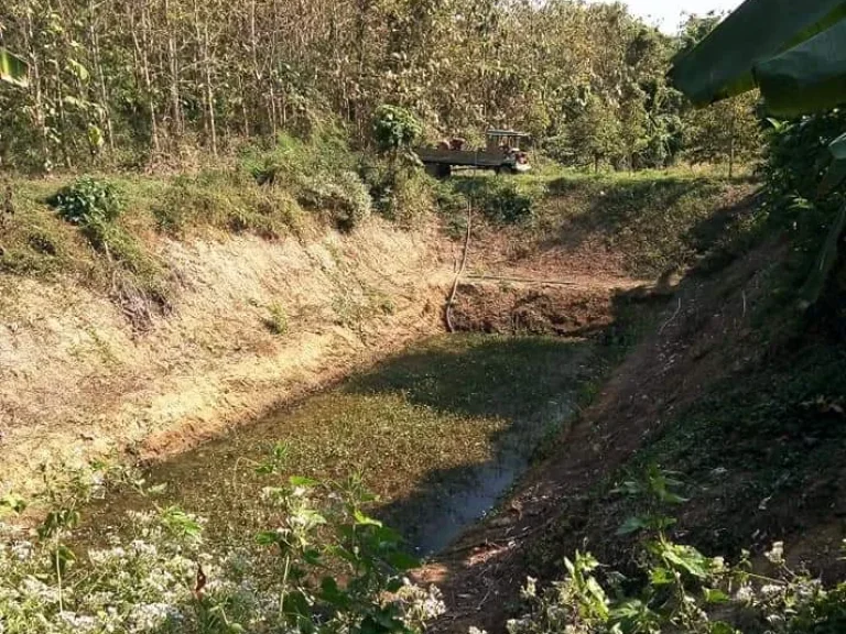 ที่ดิน สำหรับอยู่แบบพอเพียง หรือโคกหนองนาโมเดล อุตรดิตถ์