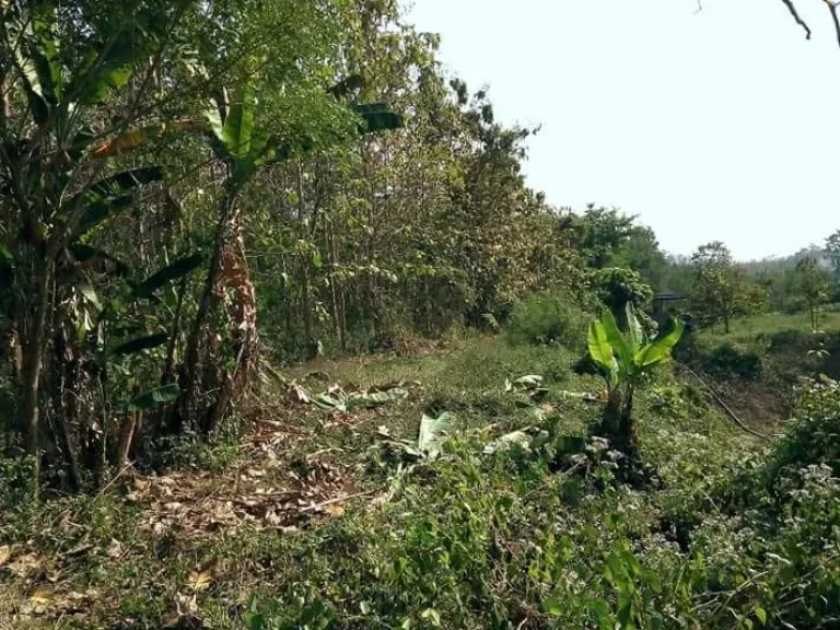 ที่ดิน สำหรับอยู่แบบพอเพียง หรือโคกหนองนาโมเดล อุตรดิตถ์