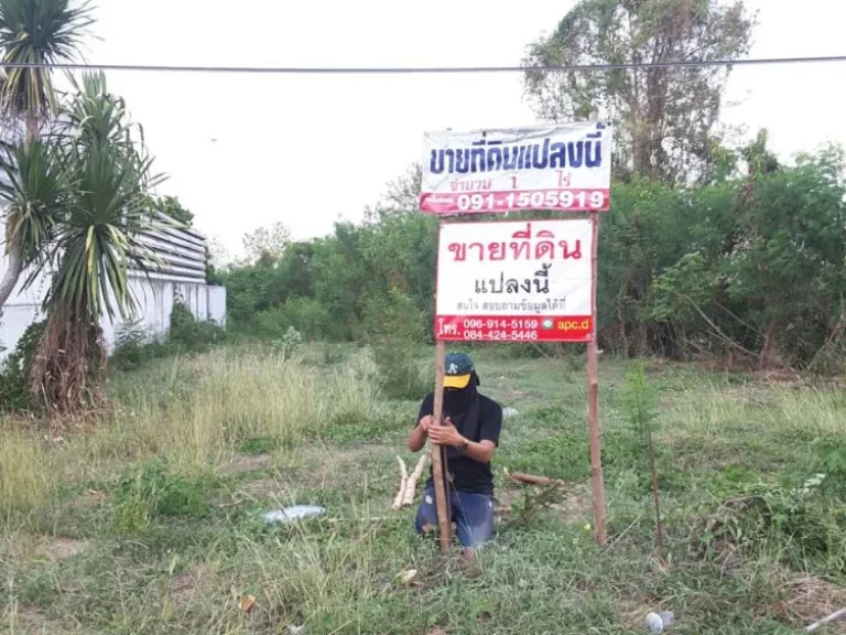 ขายที่ดิน 15 ไร่ ติดถนนทางหลวง สาย 21 เพชรบูรณ์-สระบุรี อวิเชียรบุรี จเพชรบูรณ์