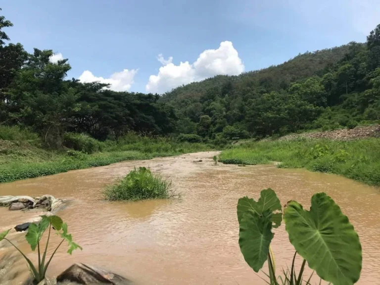 ขายที่ดินติดน้ำ ดอยสะเก็ต ป่าเมี่ยง เชียงใหม่