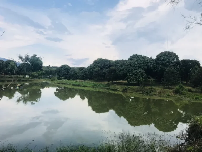 เสนอขายสวนทุเรียนหมอนทอง แปลงใหญ่ สวย สมบรูณ์ เนื้อที่ 94 ไร่ เขาชะเมา จังหวัดระยอง