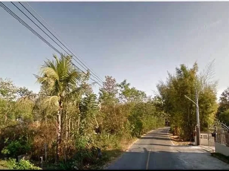 ขายที่ดินน้ำบ่อหลวง สันป่าตอง เชียงใหม่