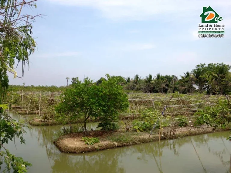 ขายที่ดินพร้อมสวน 10ไร่ ติดถนนติดคลอง บางระกำ นครชัยศรี นครปฐม LA0045