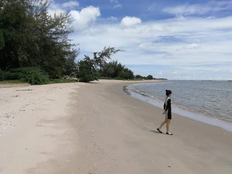 ขายที่ดิน 1 ไร่ 2 งาน จเพชรบุรี ติดหาดเจ้าสำราญ ที่ติดหาด แบบส่วนตัว มรายละเอียด ทะเลสวย