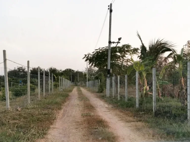 ที่ดิน1 ไร่ บรรยากาศธรรมชาติ ในเขตเทศบาลเสาไห้ หมู่ 7