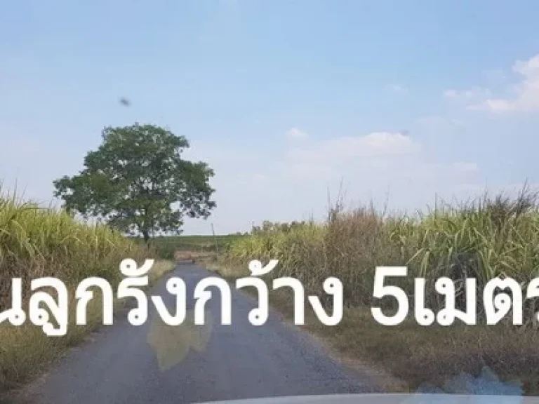 ขายที่ดิน 168 ไร่ ตแสลงพัน วังม่วง สระบุรี ไร่ละ 285000 บ ขายยกแปลง