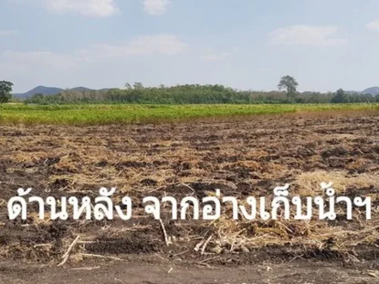 ขายที่ดิน 168 ไร่ ตแสลงพัน วังม่วง สระบุรี ไร่ละ 285000 บ ขายยกแปลง