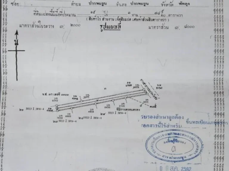 ขายสวนปาล์ม15-3-78ไร่ เป็นโฉนด นส๔ จ อำเภอปากพะยูนจังหวัดพัทลุง