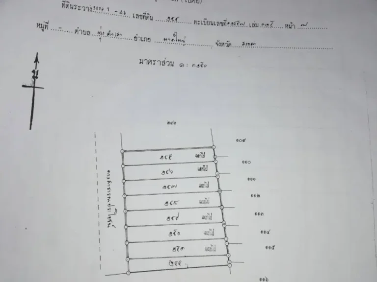 ขายที่ดินจัดสรร ตทุ่งตำเสา อหาดใหญ่ จสงขลา