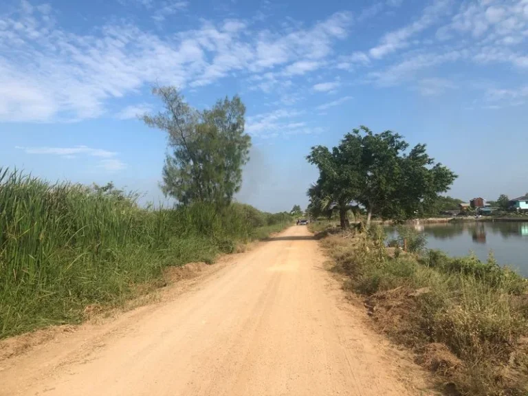 ขาย ที่ดินแปลงสวย 3 ไร่ ซอยคลองหกตะวันออก 48 คลองหลวง ปทุมธานี