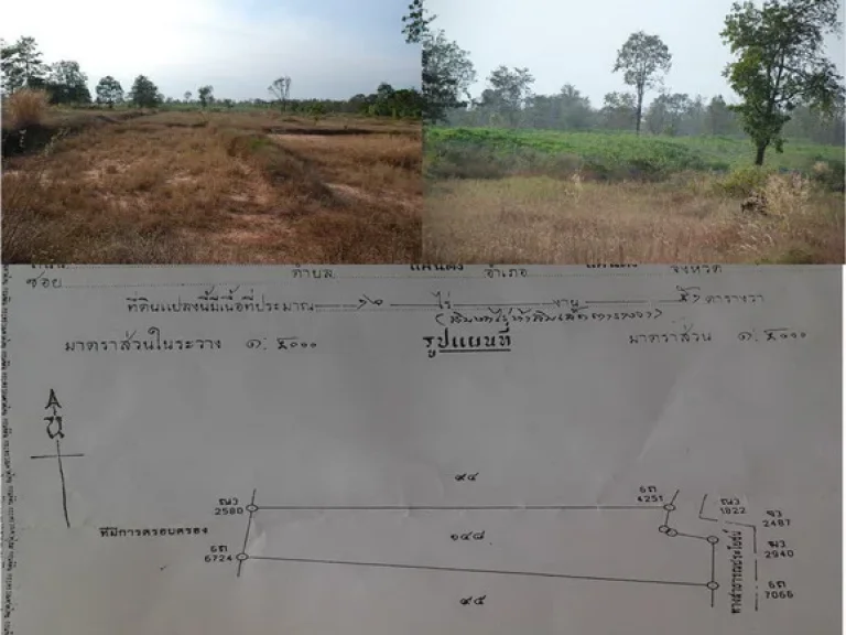 ไร่มันสำปะหลัง 16 ไร่ 1 ล้านบาท ที่ดินสูงน้ำไม่ท่วม ตำบลท่าลาด อชุมพวง น้ำ ไฟฟ้า พร้อม ทางสะดวก ราคาคุยกันได้ พิกัด G