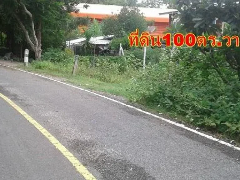 ขายที่ดิน100ตรวา ในเขตเทศบาลเขางู ใกล้วัดห้วยตะแคง เหมาะอยู่อาศัย ห่างตัวเมืองราชบุรีแค่7กมใกล้เทศบาลเขางู3กม350000