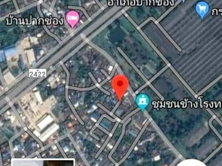 ขายที่ดิน39ตรวาพร้อมแถมฟรีบ้านไม้ 1หลัง ในเขตชุมชมข้างโรงทอกระสอบ เทศบาลปากช่อง ขาย 45แสนบาท