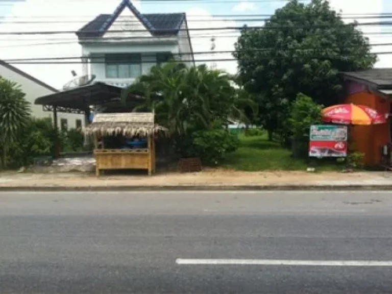 ขายที่ดิน 2 แปลงติดกัน ตรงข้ามโรงพยาบาลรัตภูมิ