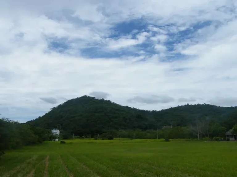 ขายที่ดิน 2 ไร่ เขาวง อยู่ในโครงการจัดสรรติดถนนลาดยาง ใกล้วนาลีรีสอร์ท วิวภูเขาใกล้ล้อมรอบ เหมาะทำบ้านพักส่วนตัว