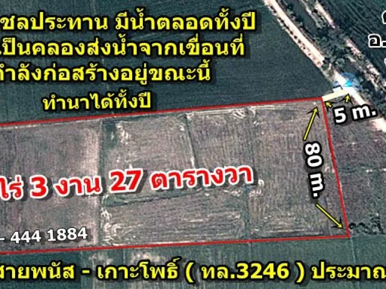 ขายที่ดิน 10 ไร่ ๆ 160000 อพนัสนิคม จชลบุรี