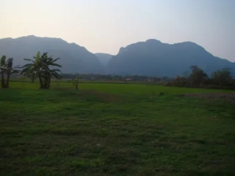 ขายที่ดินวิวสวย อแม่สาย ตโป่งผา ติดถนนพหลโยธิน หันหน้าไปทางทิศตะวันออก