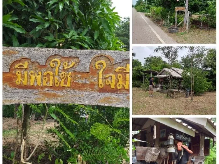 ขายบ้านสวนใน โครงการพ่อประทาน หลังขนส่ง ใกล้บายพาส แยกอินโอจีน 223ตรว