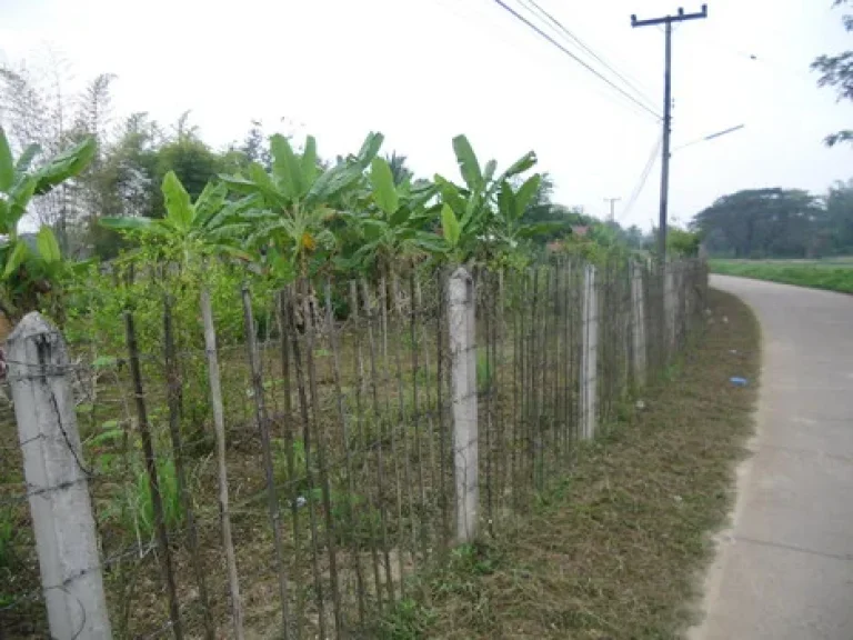 ประกาศขายที่ดิน บ้านกลาง ทุ่งฝาย ลำปาง