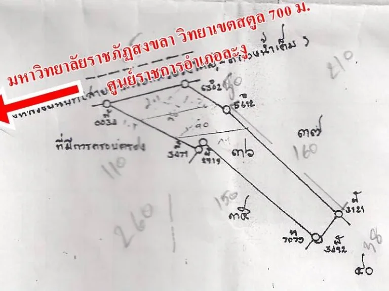 ขายที่ดิน 6 ไร่กว่า ใกล้ มหาลัยราชภัฏสงขลา วิทยาเขตสตูล ติดถนน