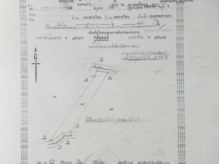 ขายที่ดิน จำนวน 9ไร่