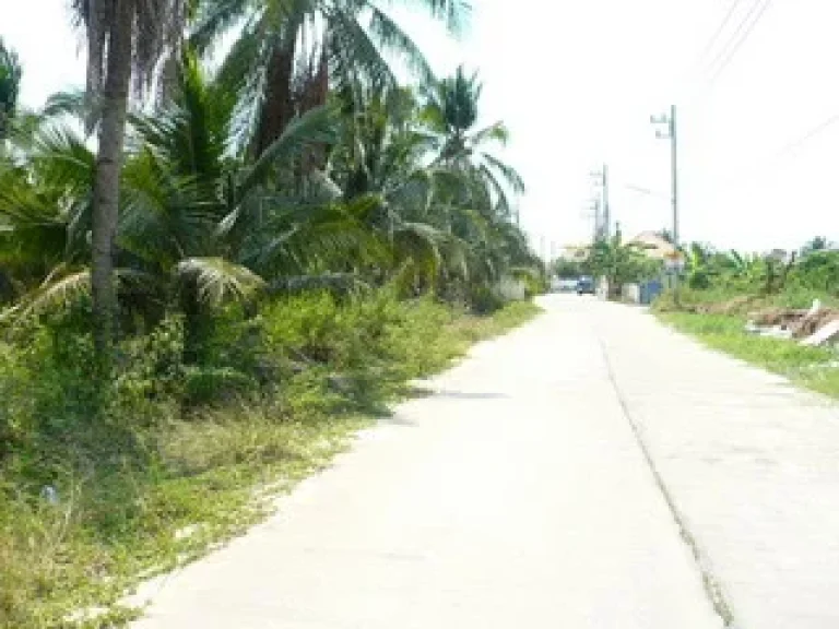 ขายที่ดินติดถนนพุทธมณฑลสาย 4 ซอยวัดเพลินเพชร จำนวน 2 ไร่