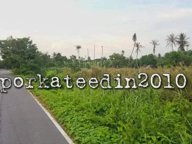 ขายที่ดินสวน 1-0-34 ไร่ ซอยไทรม้า 18 ใกล้สะพานข้ามคลองแห่งใหม่