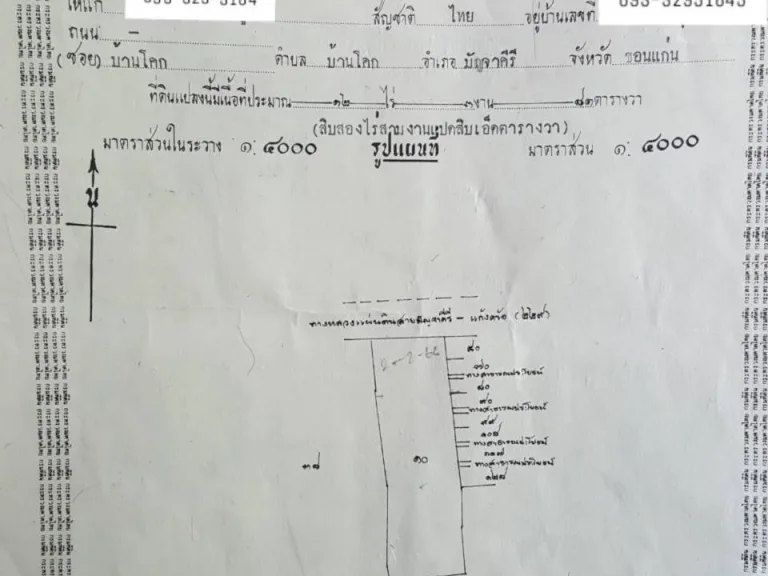 ขายที่ดินราคาถูก ตซับสมบูรณ์ อโคกโพธิไชย จขอนแก่น