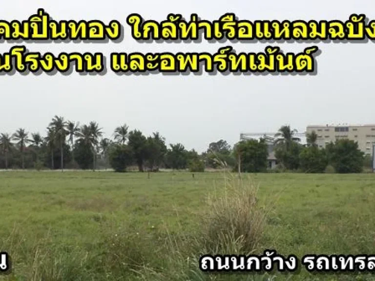 ที่ดิน 43 ไร่ พื้นที่สีม่วง ใกล้ท่าเรือแหลมฉบัง ติดนิคมปิ่นทอง