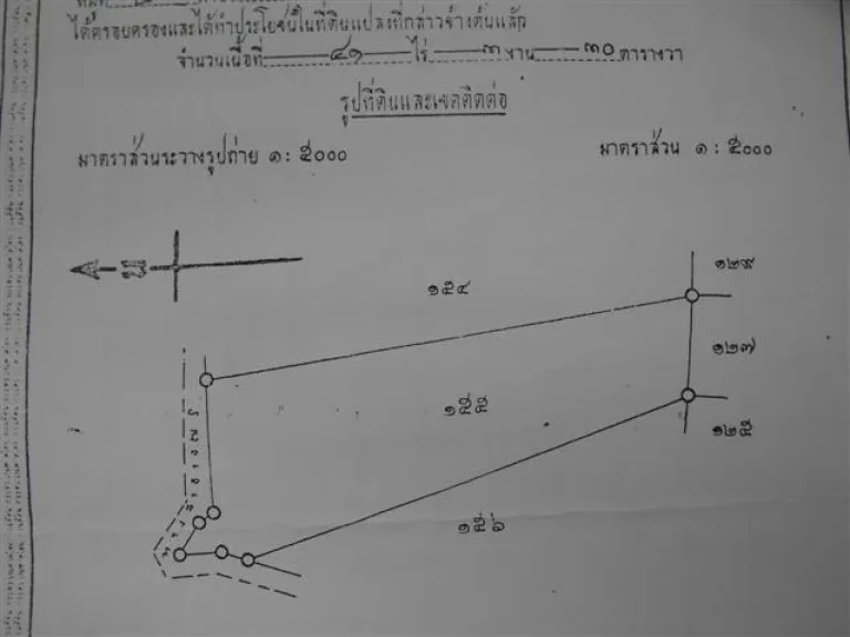 ขายที่ดินปักธงชัย 41-3-30 ไร่ ห่างถนนสาย 24 ประมาณ 800 เมตร ราคา 280000 ต่อไร่