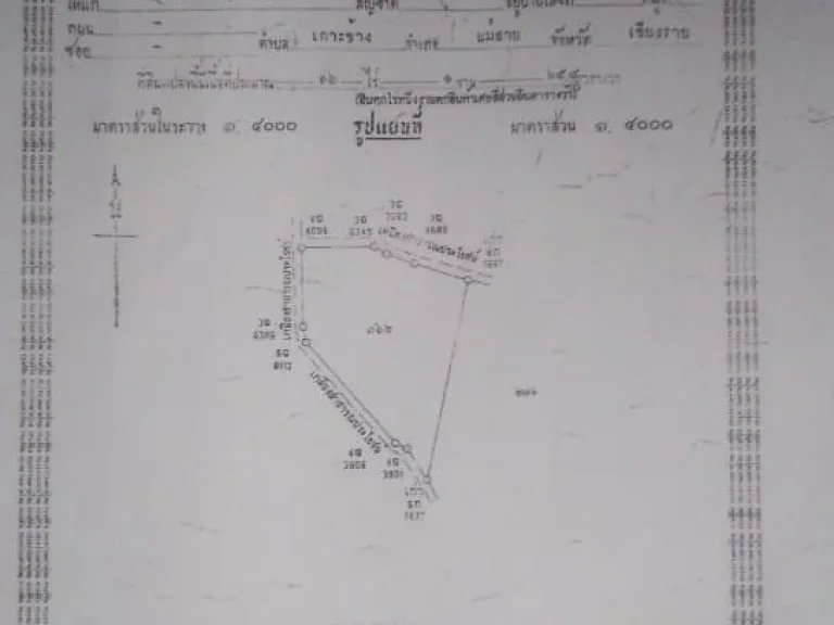 ขายที่นาราคาถูก 16 ไร่ 1 งาน 654ตรว