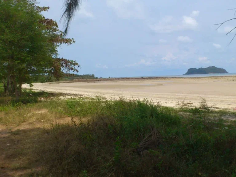 ที่ดิน 39 ไร่ หาดส่วนตัว วิวหาด สวย ใกล้สนามบินชุมพร