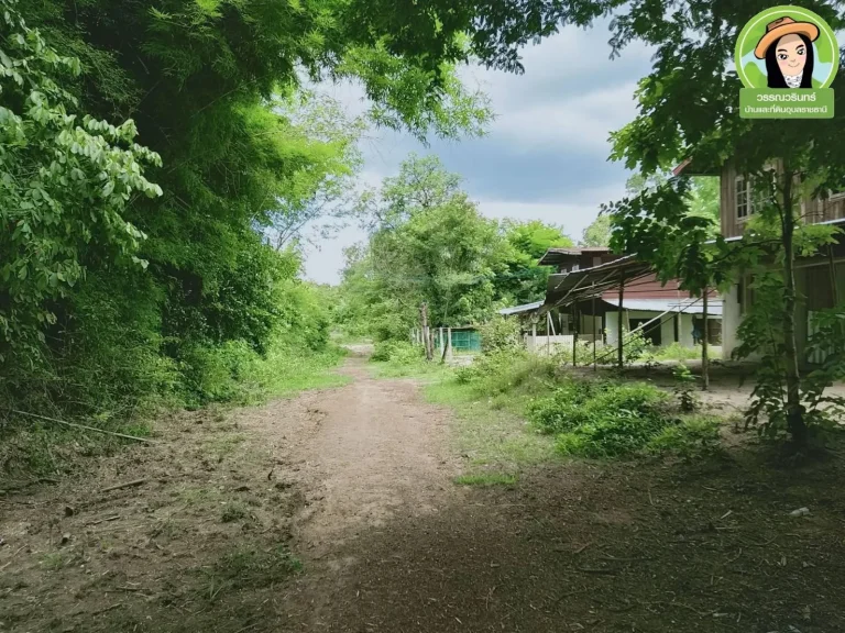 ที่ดินเปล่า ติดถนนสองด้าน ตหนองบก อเหล่าเสือโก้ก จอุบลฯ