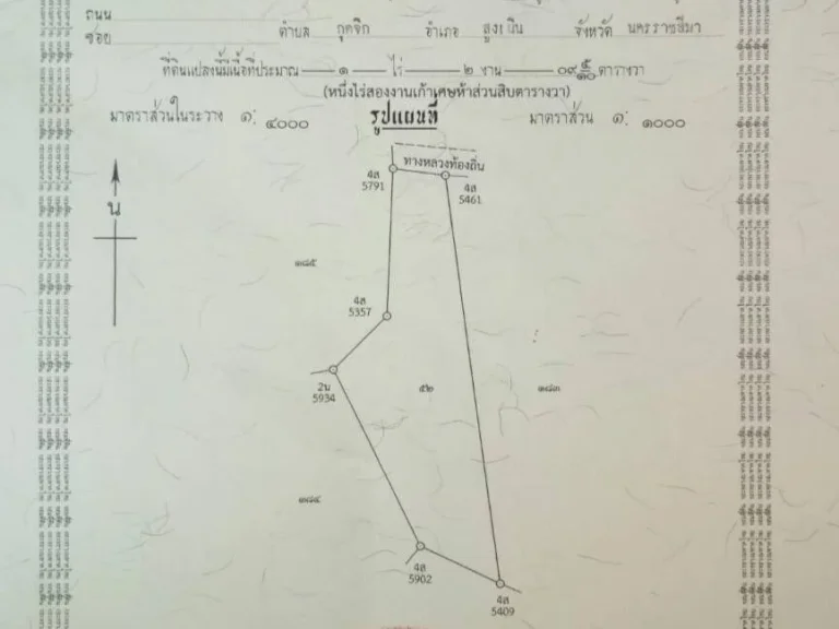 ขายที่ดินโฉนด 1ไร่เศษ ตท่าช้าง ใกล้ถนน226