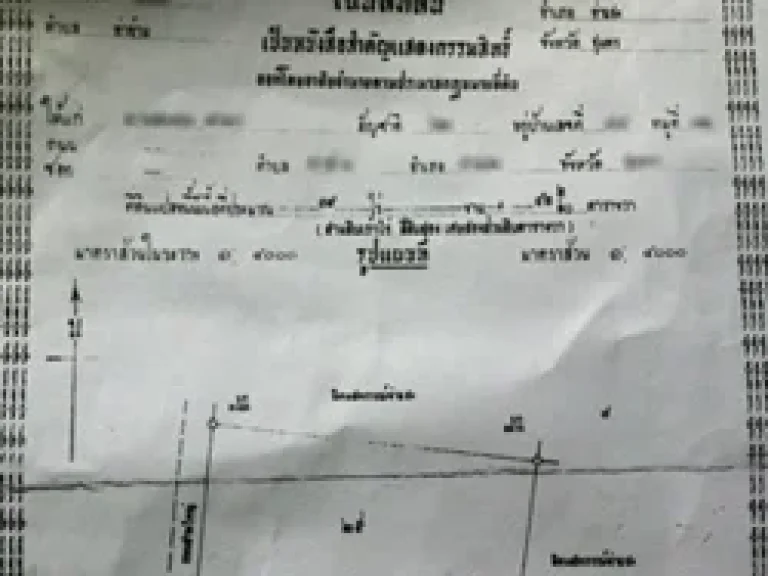 ขายสวนปาล์ม 39 ไร่ พร้อมบ้าน 1 หลัง ที่สวยมีโฉนด จชุมพร ราคาถูก