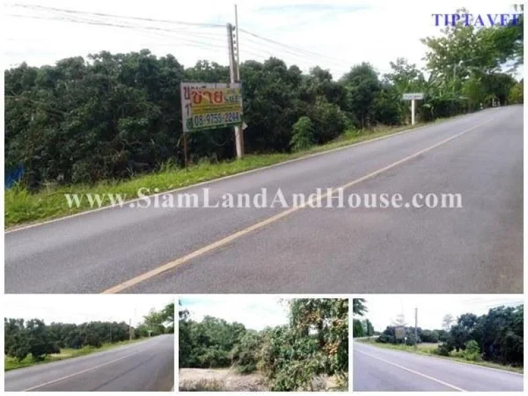 22031 ขายที่ดินริมถนนเลียบน้ำปิง สวนลำไยหางดง เชียงใหม่ Sale Land on Ping Riverside Road Hangdong Chiangmai THAILAND