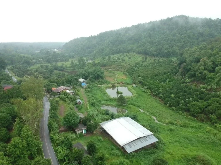 ขายที่ดินพร้อม กิจการ ปางช้าง