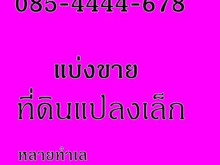 0854444678 ขายที่ดิน 100 ตรวา ติดถนนห้วยปราบ-ปลวกแดง 30 ม อยู่ ตมาบยางพร อปลวกแดง ระยอง เหมาะค้าขาย